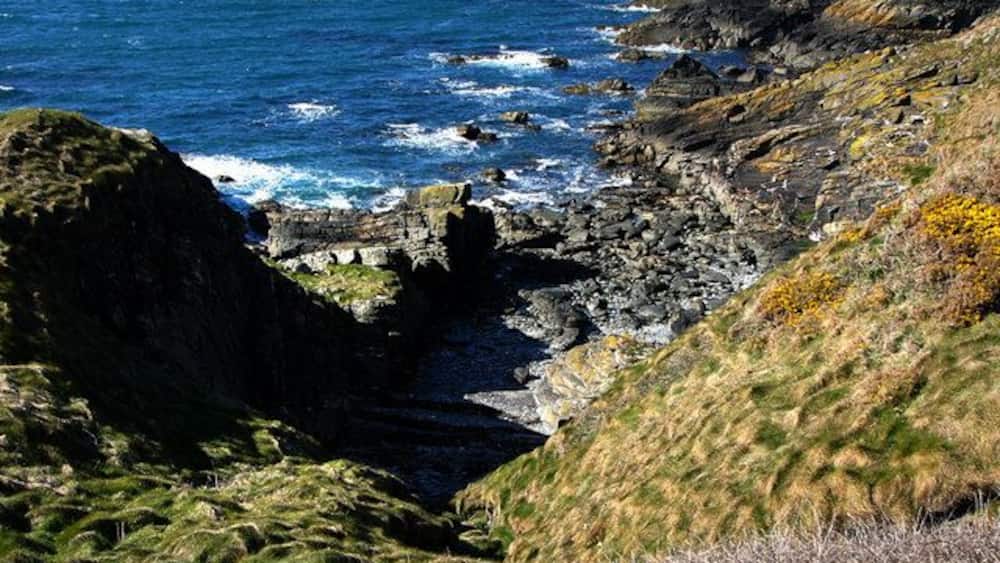 A rocky coastline with waves crashing against the shore, grassy terrain, and a cliff.