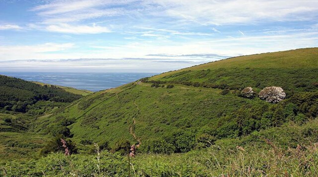 Lagg Valley and Irish Sea. Looking W from 229774. The main road (A27) is visible to the right.