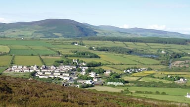 Photo showing the varied terrain (mountains, hills, plains) and land uses (residential, farming, water reservoir) of Isle of Man. This view of the south central portion of the island includes the town of Foxdale, Mines Road, Kionslieau Road, and Kionslieau Reservoir. The camera is located along the A36 Road oriented toward the northeast. Foxdale is a village in the parish of Patrick.