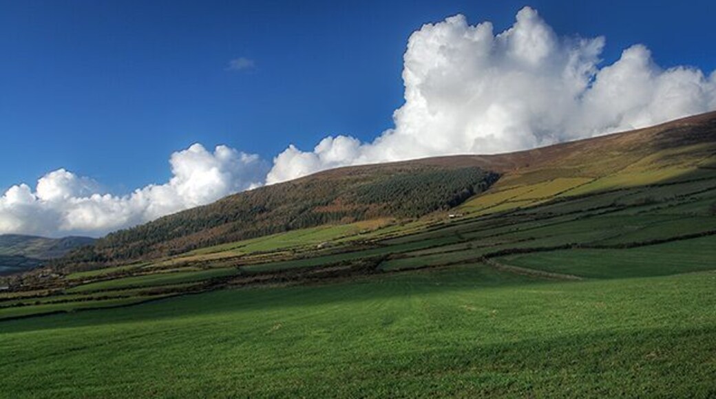 Fields above Crosby Greeba Mountain on the horizon.