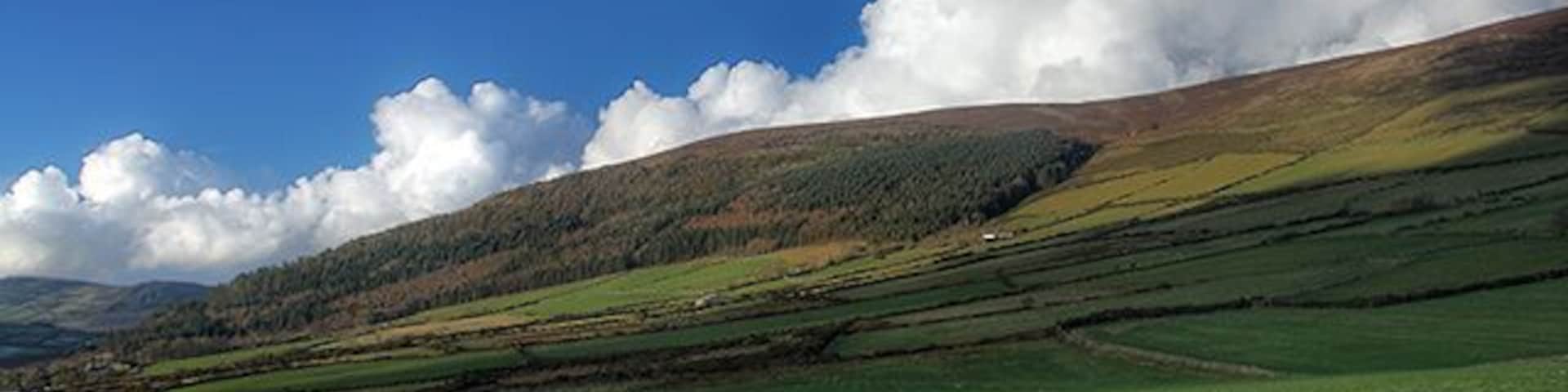 Fields above Crosby Greeba Mountain on the horizon.