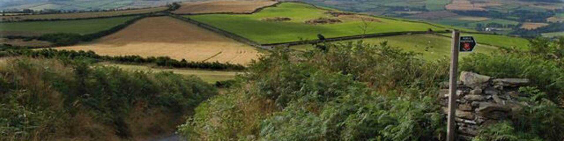 Cronk ny Moghlane from Cronk Breck. Isle of Man. The point where the old Cronk Breck to Bawshen road leaves the road leading to Lhargee Ruy. This road, like so many others, has now been downgraded to footpath status.