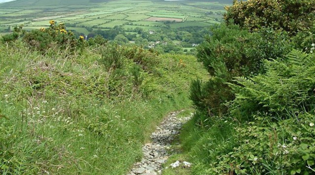 Path near Archallagan - Isle of Man. This greenway leads down from Cornelly to Greeba.