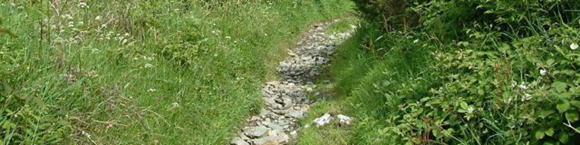 Path near Archallagan - Isle of Man. This greenway leads down from Cornelly to Greeba.