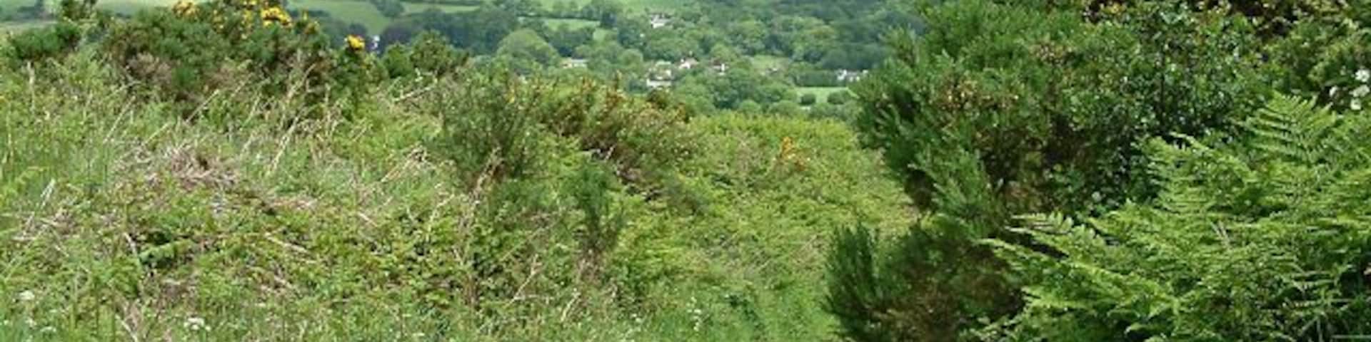 Path near Archallagan - Isle of Man. This greenway leads down from Cornelly to Greeba.
