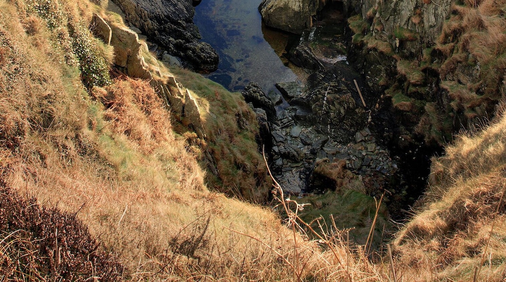 Sea Lion Cove from the back Showing the full extent of the sea lion / polar bear zoo.