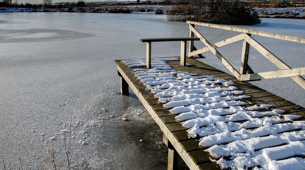 Lake at Ballannette A wetland nature reserve, open to the public (but not their cars) and created by Stuart Clague.