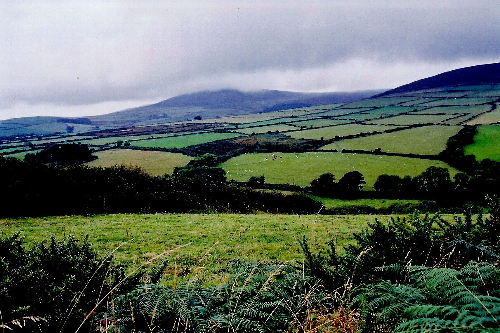 East Baldwin - Grazing land and The Creg View is to the northwest from St Luke's Church graveyard towards The Creg.
