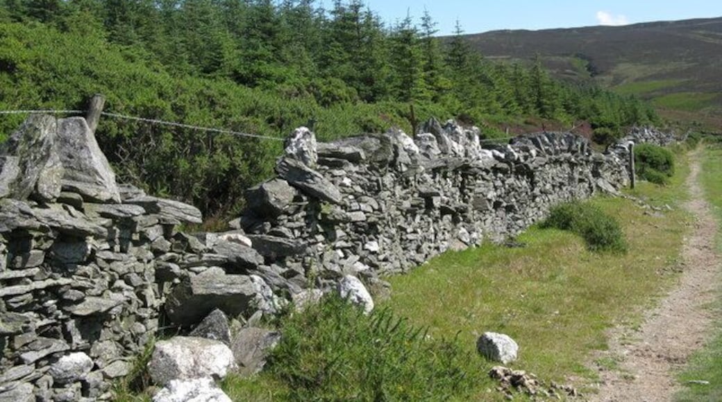 Dry Stone Wall Dry stone wall up in the hills, near Earyglass.