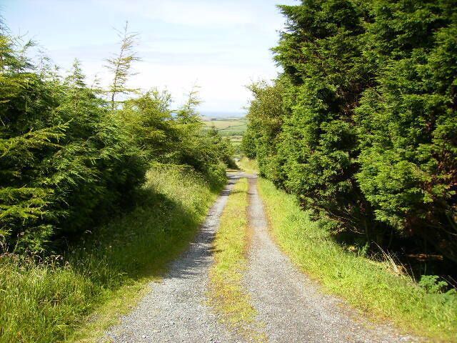 Track leading from the A3 near the 11th Milestone
