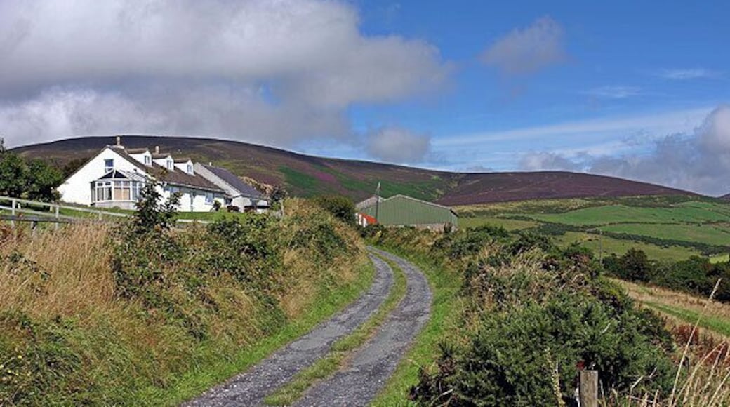 Farm near Little London.