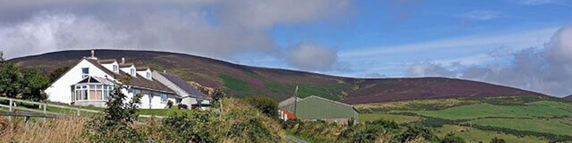Farm near Little London.