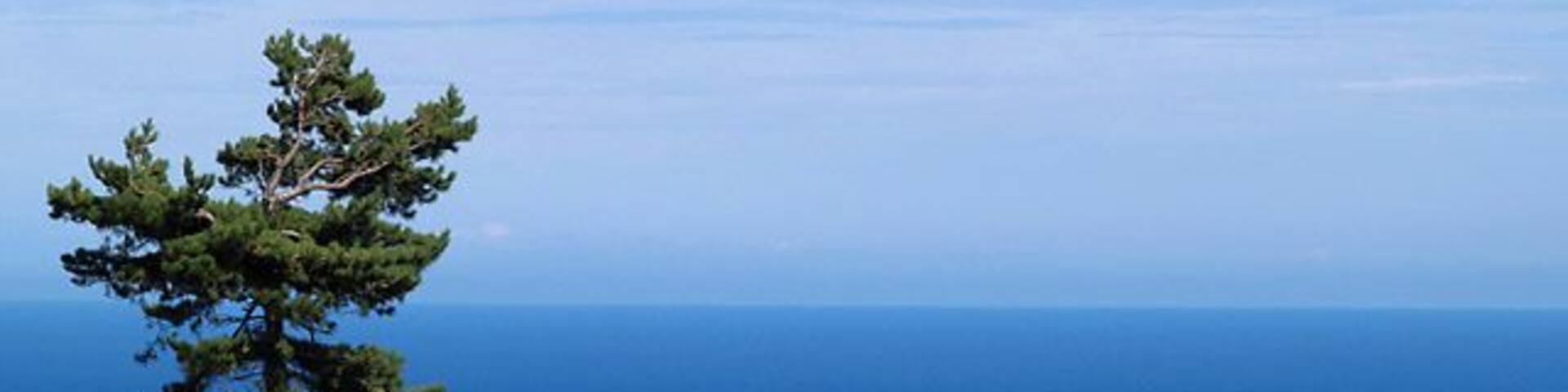 Skyhill Road, Scots Pine, sea and sky. Isle of Man. That's about all there is to say really. Just another view of this historic road.