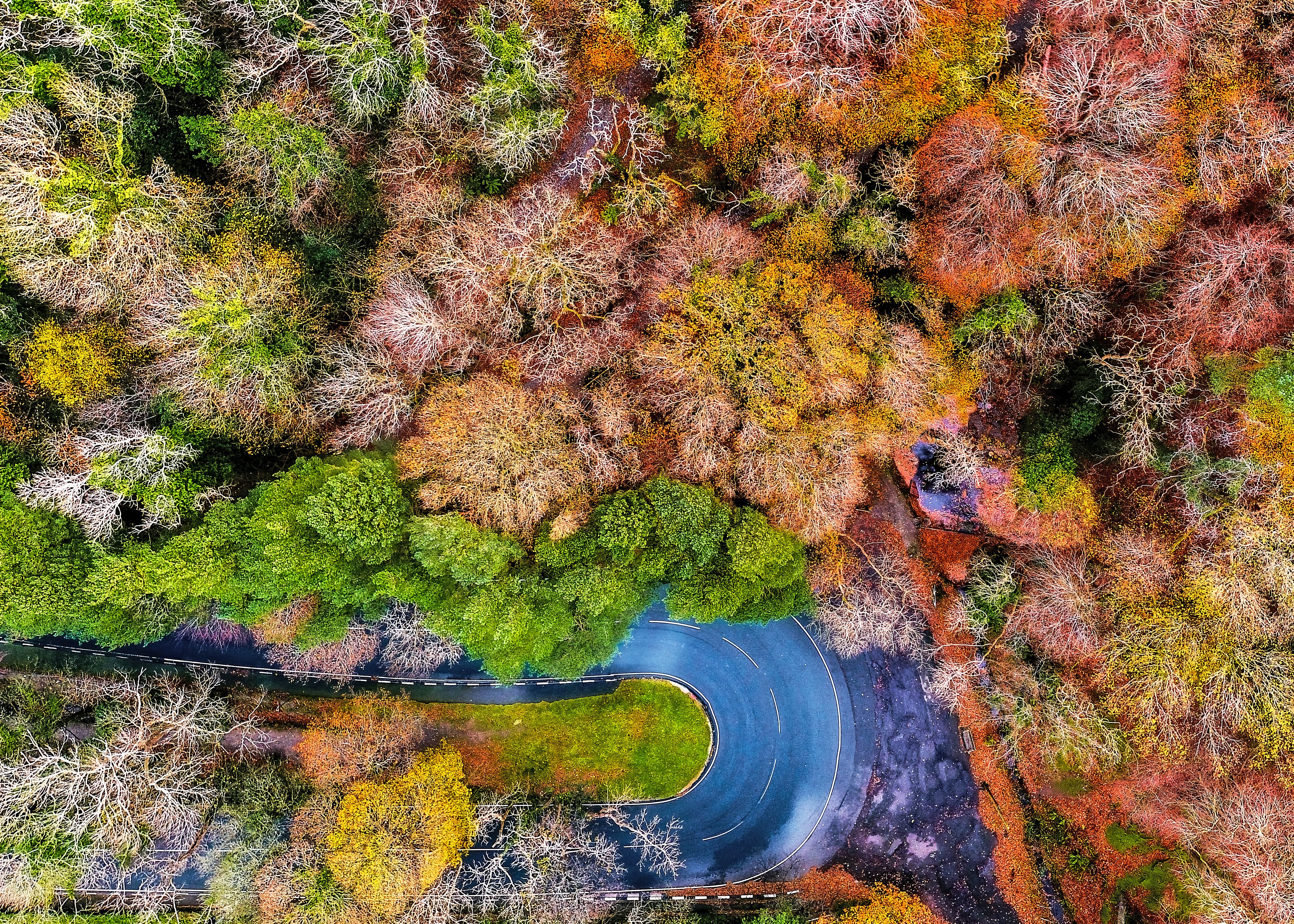 An aerial view of a winding road through a forest with autumn foliage.