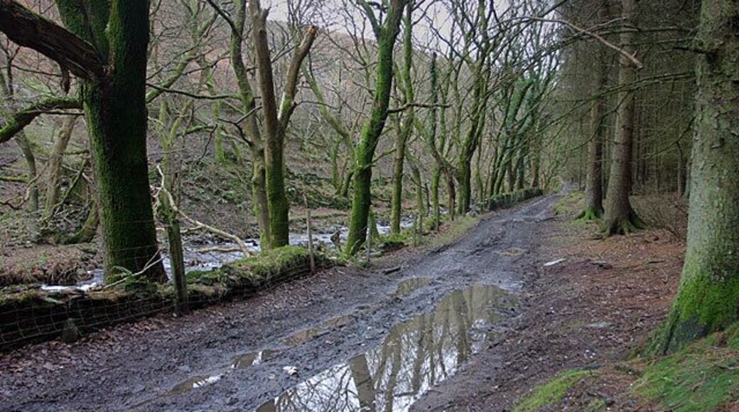 Track in Glen Auldyn. Midwinter conditions.