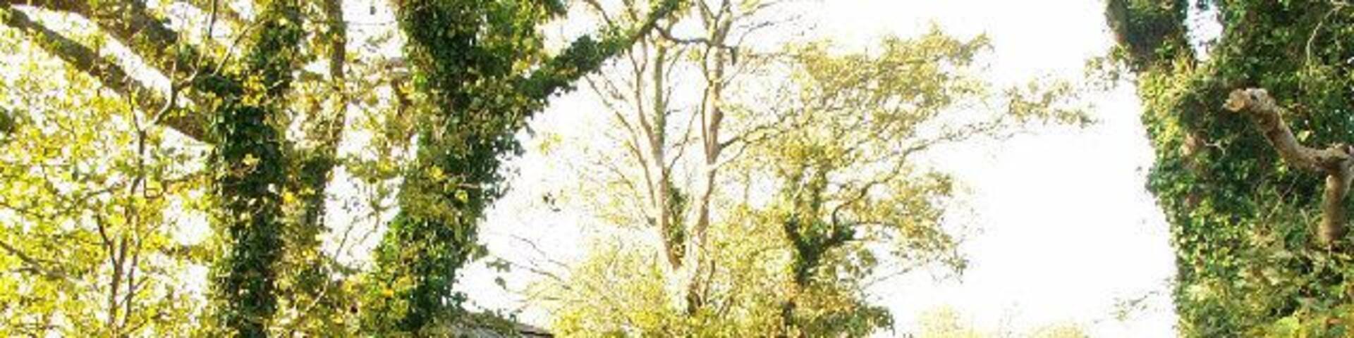 Old building by the side of the Close e Kewin loop road. A fine little white-washed building on the west side of the Close e Kewin loop road near St. Jude's. Was this once a little thatched cottage? It now has a tin roof.