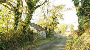 Old building by the side of the Close e Kewin loop road. A fine little white-washed building on the west side of the Close e Kewin loop road near St. Jude's. Was this once a little thatched cottage? It now has a tin roof.
