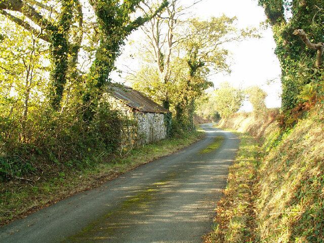 A narrow rural road flanked by trees and a stone wall.