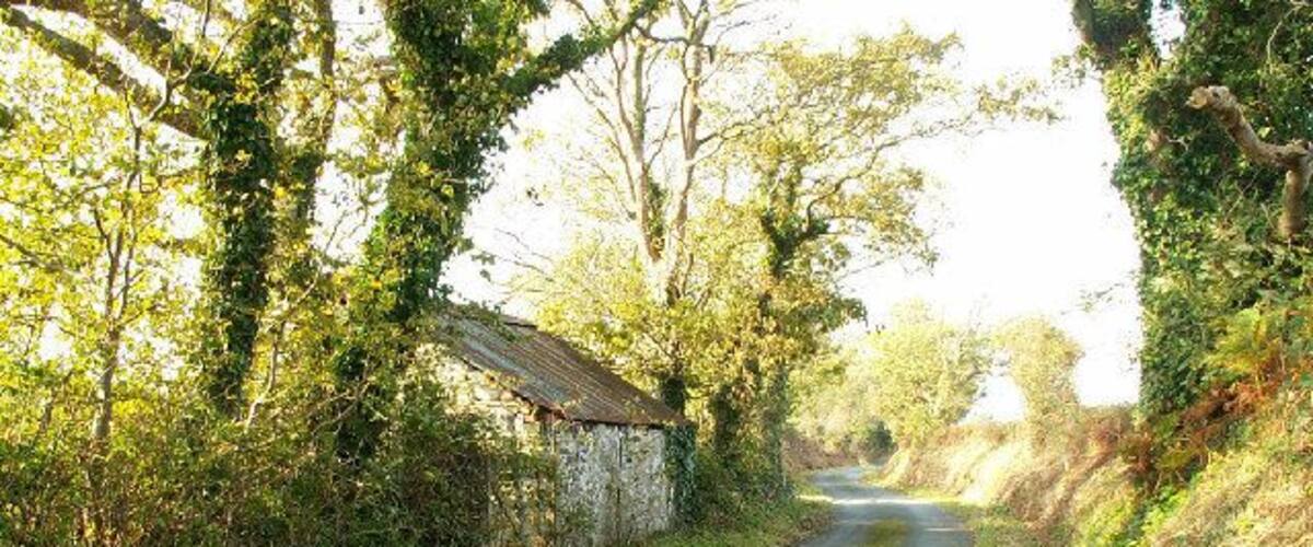 A narrow rural road flanked by trees and a stone wall.