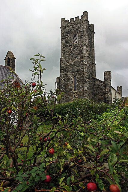St.Judes. From the edge of the cottage garden next door.