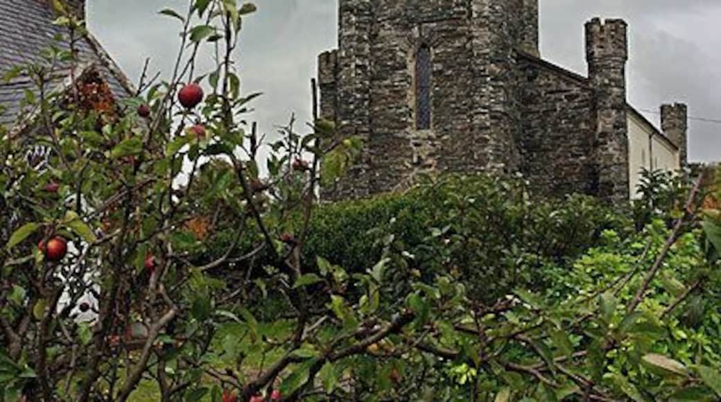St.Judes. From the edge of the cottage garden next door.