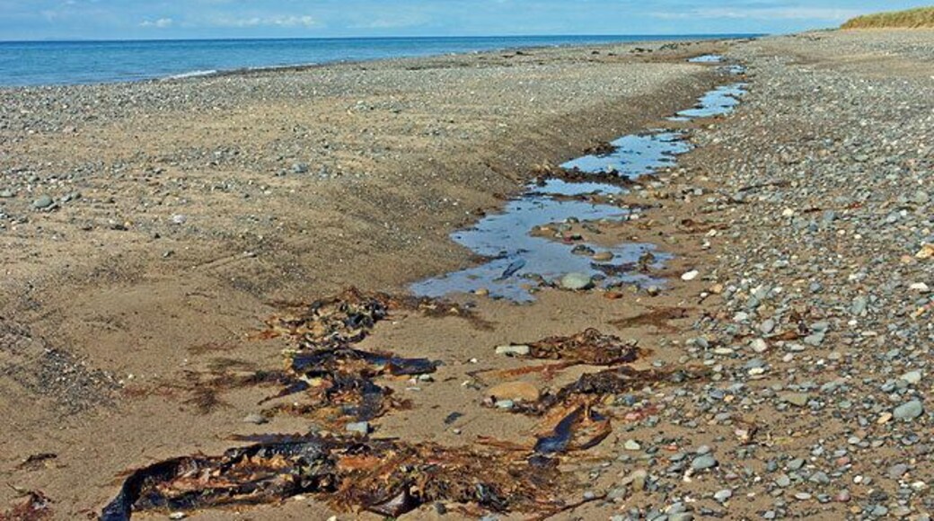 Beach at The Lhen Seemingly desolate, but full of sea life!