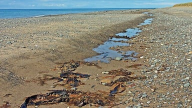 Beach at The Lhen Seemingly desolate, but full of sea life!