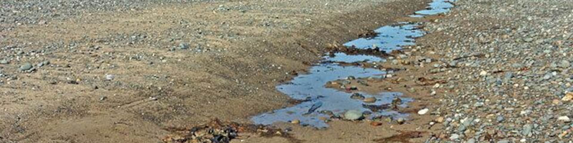 Beach at The Lhen Seemingly desolate, but full of sea life!
