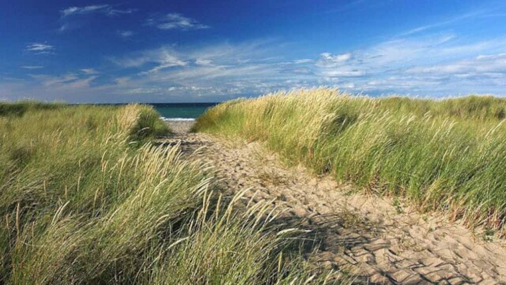Smeale beach. Approach path through the dunes. NX413034.
