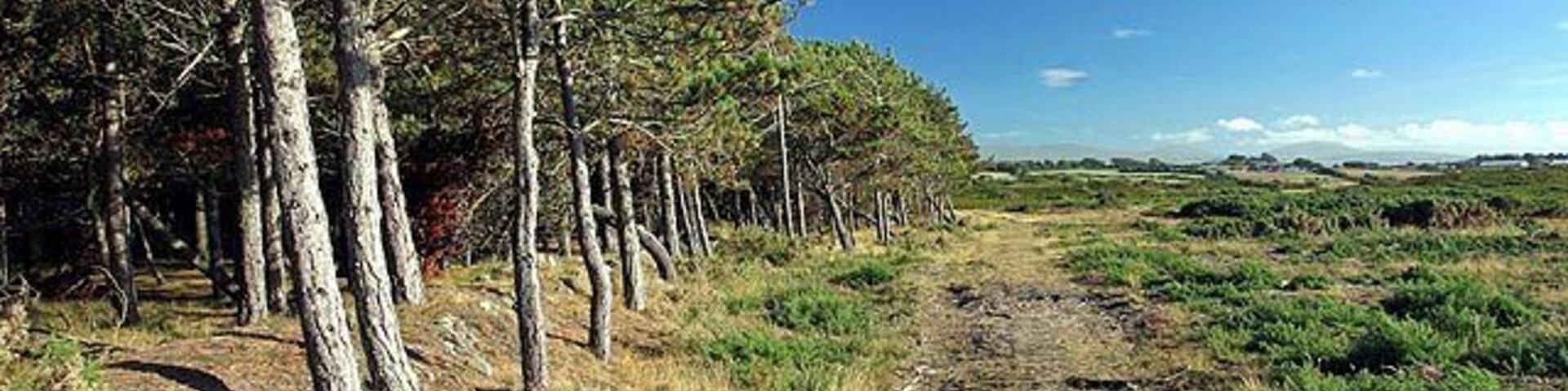 The Experimental Plantation. In The Ayres.