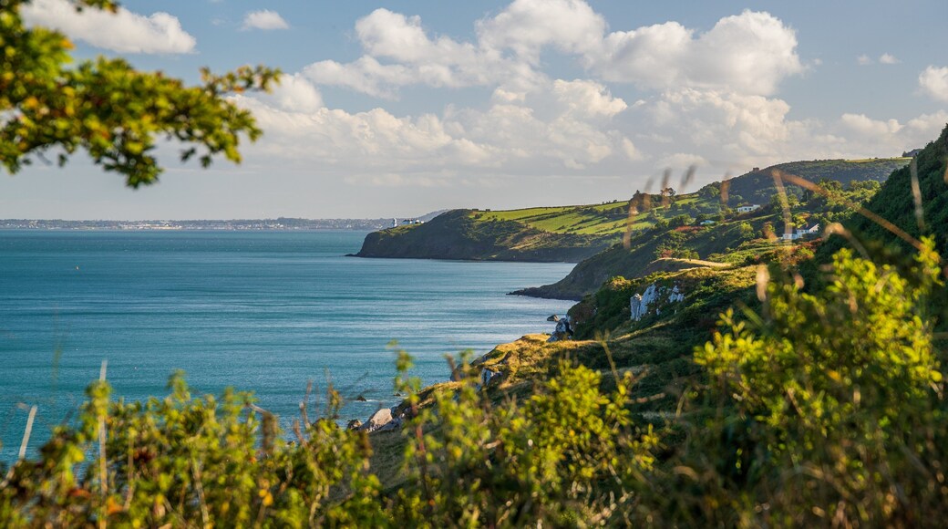 Ballystrudder showing rocky coastline and general coastal views