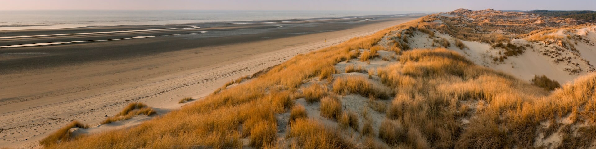 Les dunes du Marquenterre à Saint-Quentin-en-Tourmont