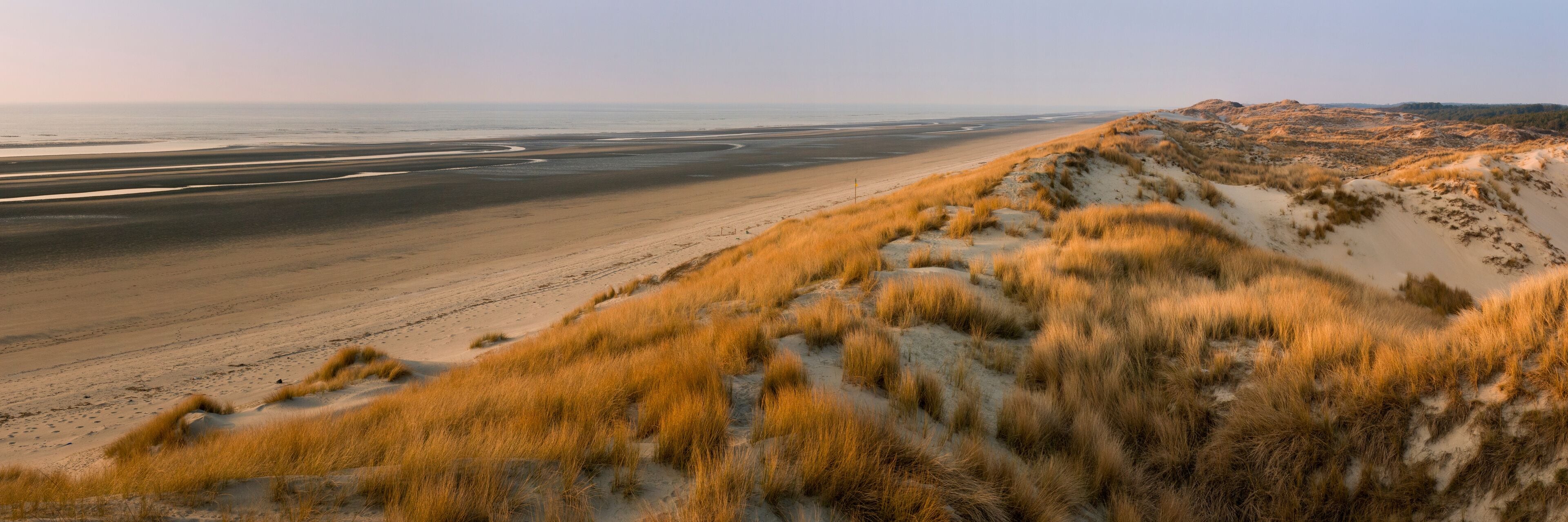 A coastal landscape with a sandy beach, dunes, and a distant view of the sea.