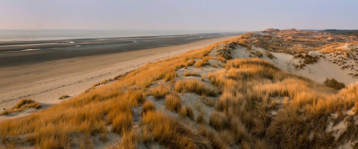 A coastal landscape with a sandy beach, dunes, and a distant view of the sea.