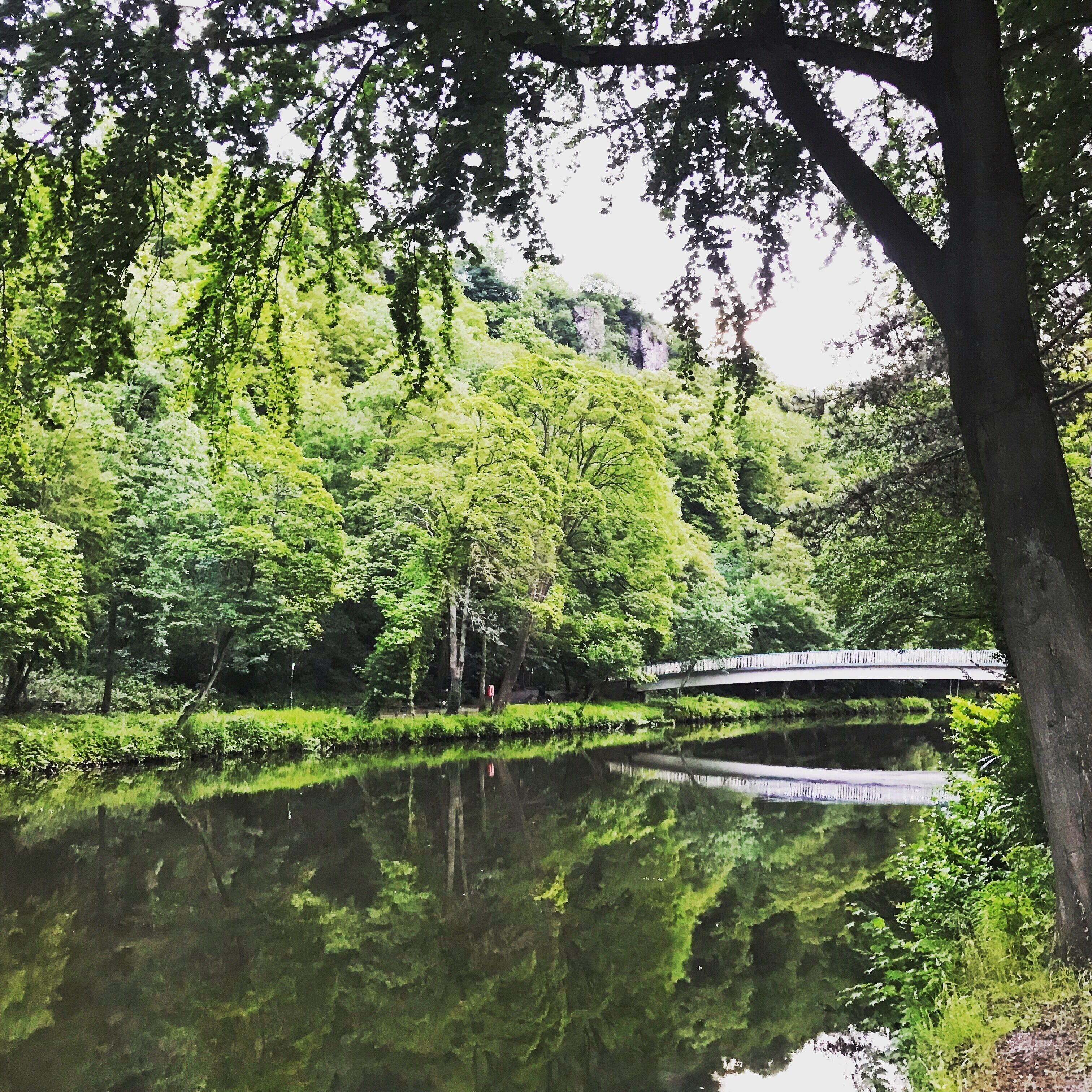 After an interesting climbing at Matlock crags ... a relax stroll in the evening makes the day ... calm quite and serene....
