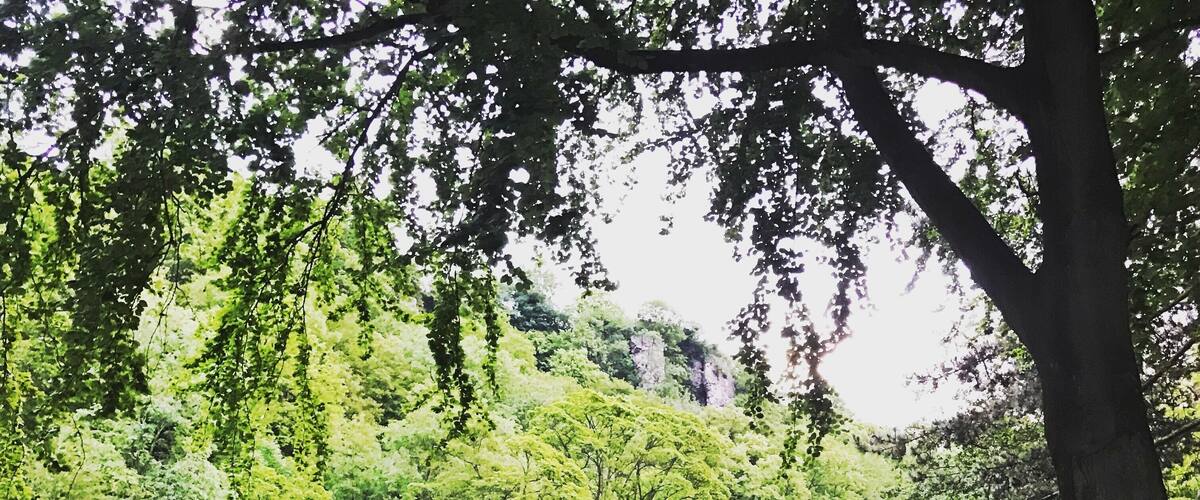 After an interesting climbing at Matlock crags ... a relax stroll in the evening makes the day ... calm quite and serene....