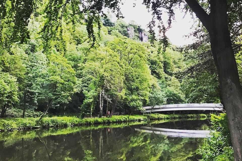 A serene pond surrounded by lush greenery and a stone bridge.