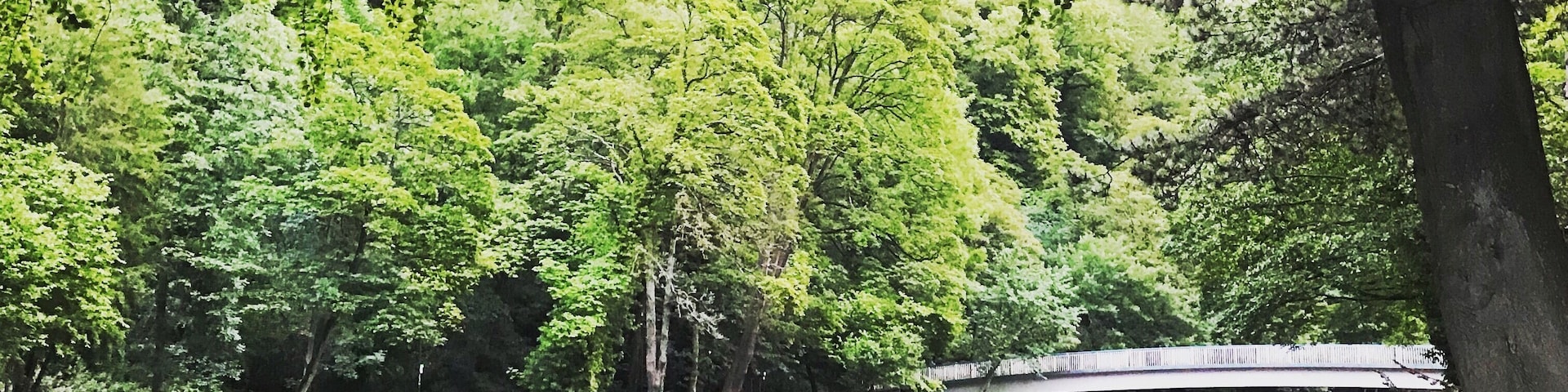 After an interesting climbing at Matlock crags ... a relax stroll in the evening makes the day ... calm quite and serene....