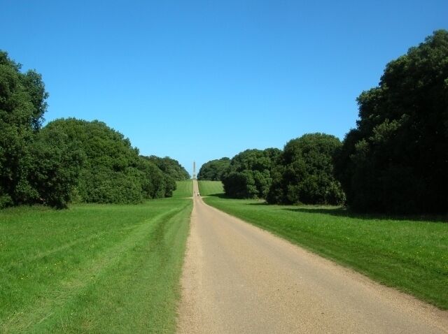 A rural road flanked by lush green fields and dense trees under a clear blue sky.