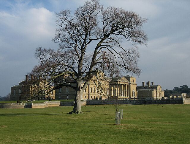 A large stately building with a prominent tree in the foreground.