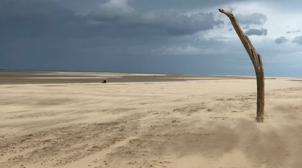 A sandstorm as the rain was coming in