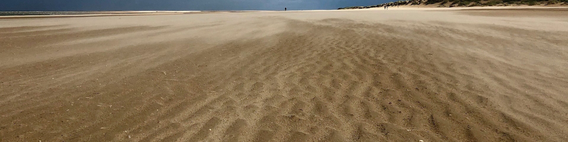 Sandstorm at the beach