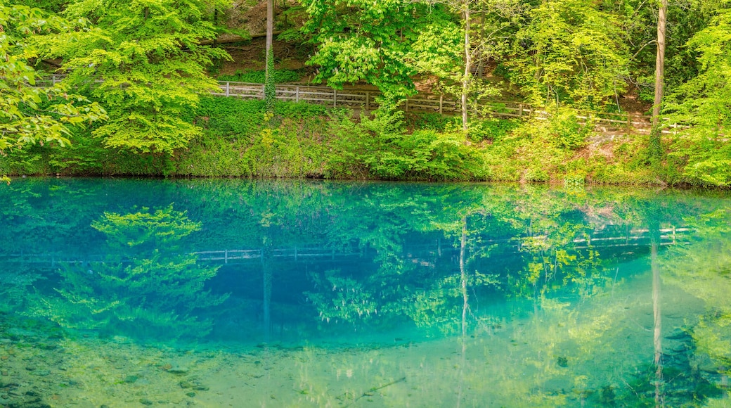 De svabiske jurafjellene