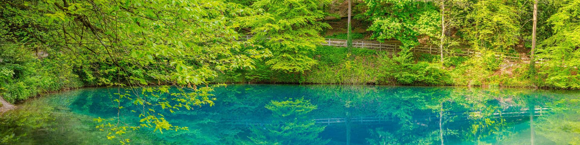 A clear blue lake surrounded by dense green foliage and a wooden bridge.