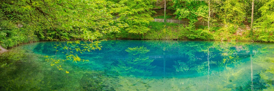Ein klarer, blauer See, umgeben von dichtem Grün und einer Holzbrücke.