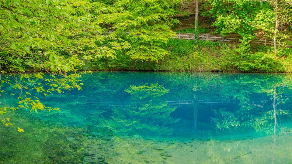 Germany, Swabian Jura, spring that serves as the source of the river Blau