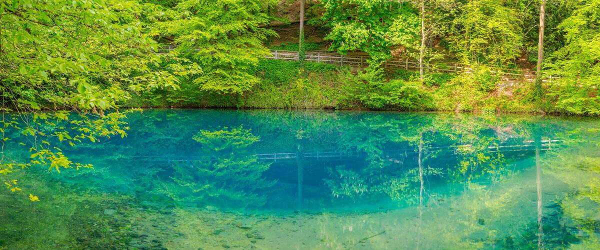 A clear blue lake surrounded by dense green foliage and a wooden bridge.