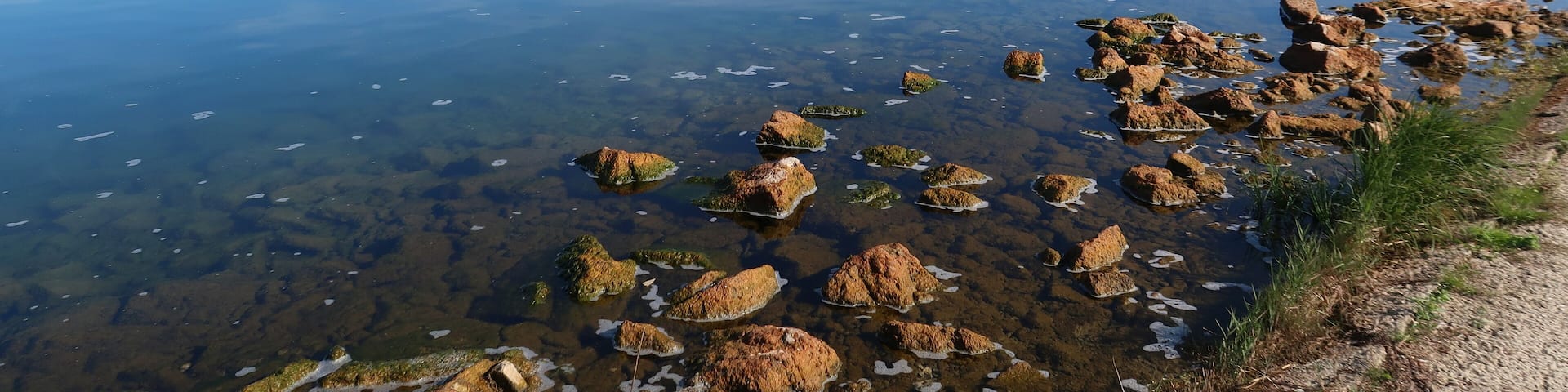 Paysage du lac du Der Chantecoq, en Champagne Ardenne, dans la région Grand Est, avec des pierres brunes dans l’eau bleue (France)