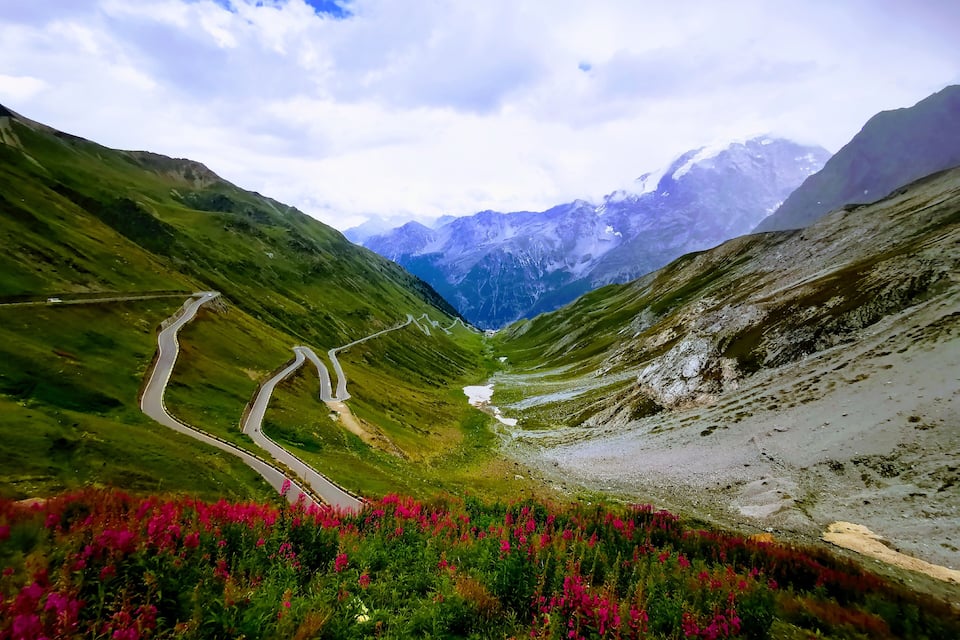 A winding mountain road surrounded by lush green hills and vibrant pink flowers.