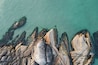 Aerial view of rocks, cliffs and turquoise ocean, beautiful natural background.